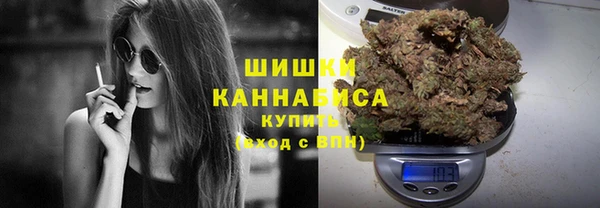 гидропоника Белоозёрский