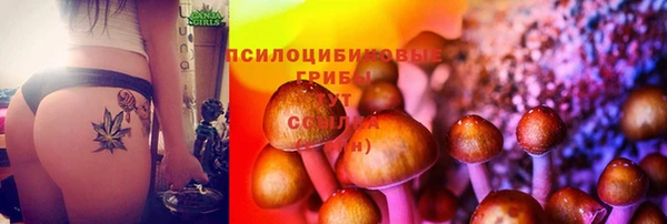 гидропоника Белоозёрский