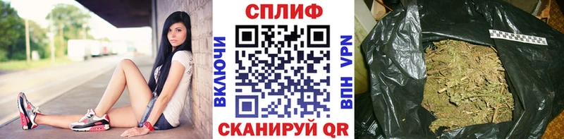 Бошки марихуана Amnesia  KRAKEN ССЫЛКА  Трубчевск 